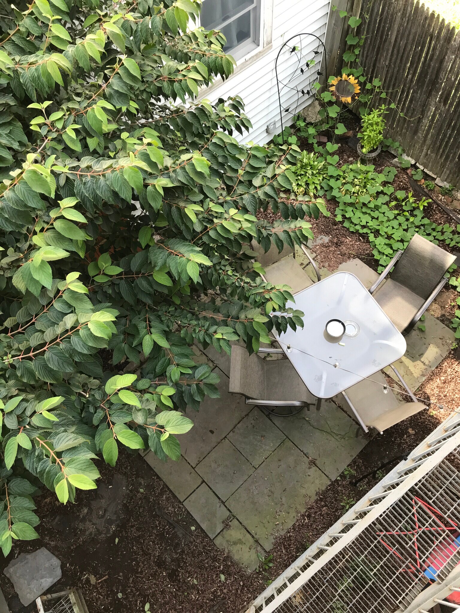 Shared patio space, accessible via fire escape - 34 F St