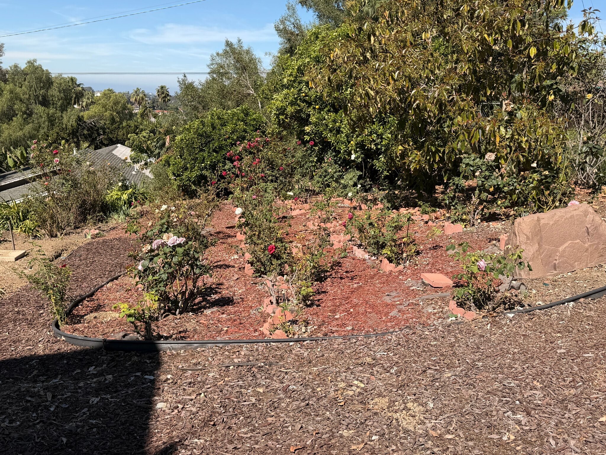 Building Photo - 1946 Monte Vista Dr