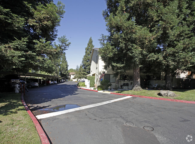 Building Photo - Canyon Oaks Apartments