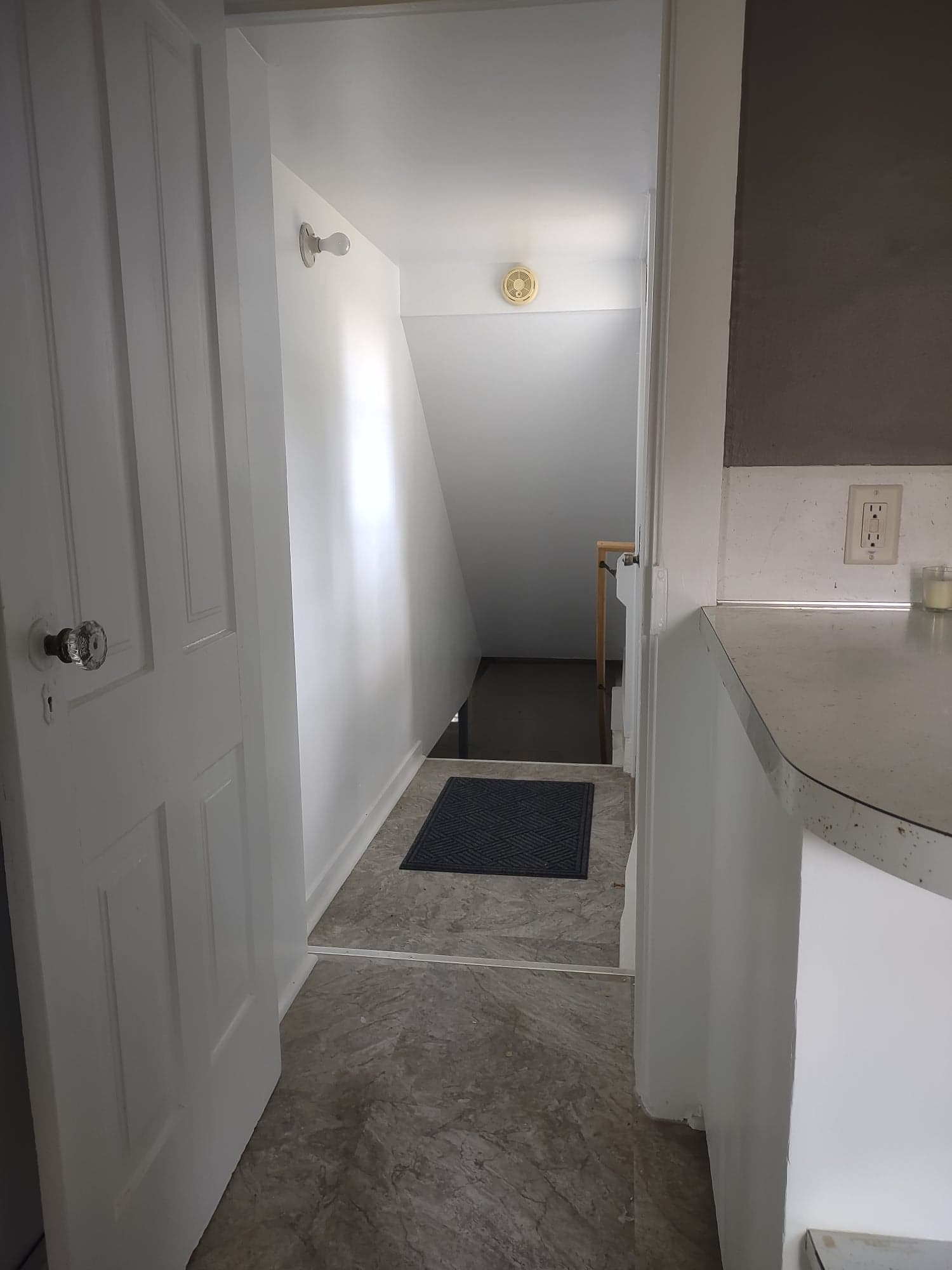 side entry to basement - 8563 Crane Creek Rd