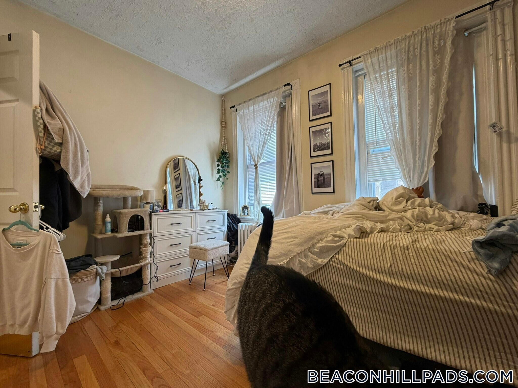 Building Photo - 40 Anderson St