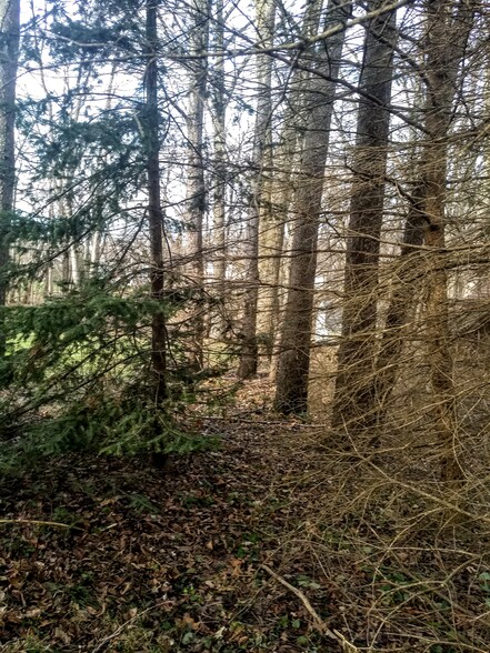 Woods - 16351 Petro Dr