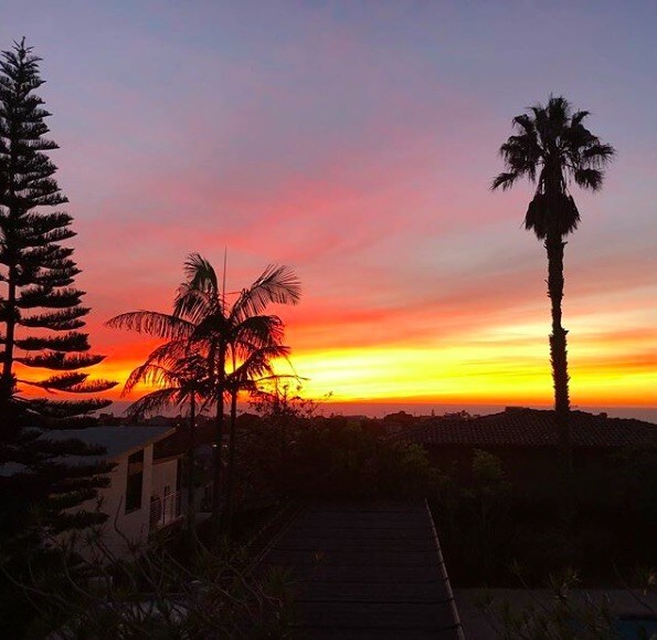 Building Photo - 736 Gould Ave