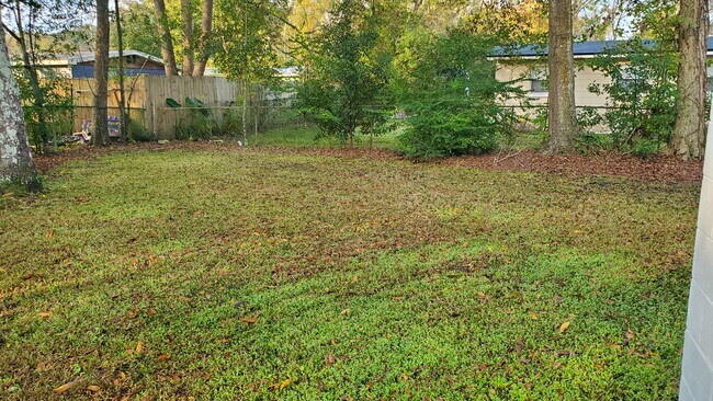 backyard - 6828 Jack Horner Ln