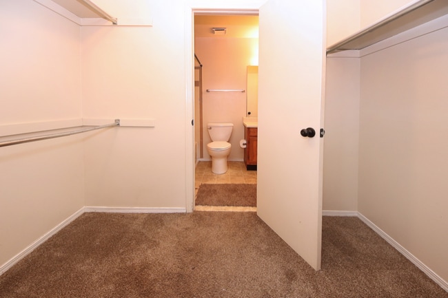 Building Photo - 1506 Crestone Ave