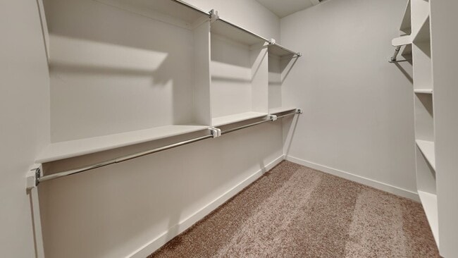 Building Photo - 17009 Oak Rdg Cir