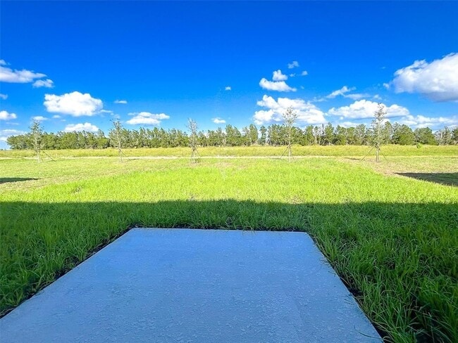 Building Photo - 335 Loch Ct