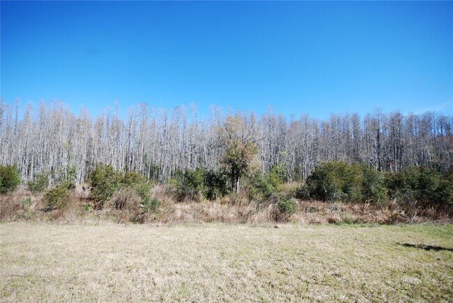 Building Photo - 18267 Turning Leaf Cir