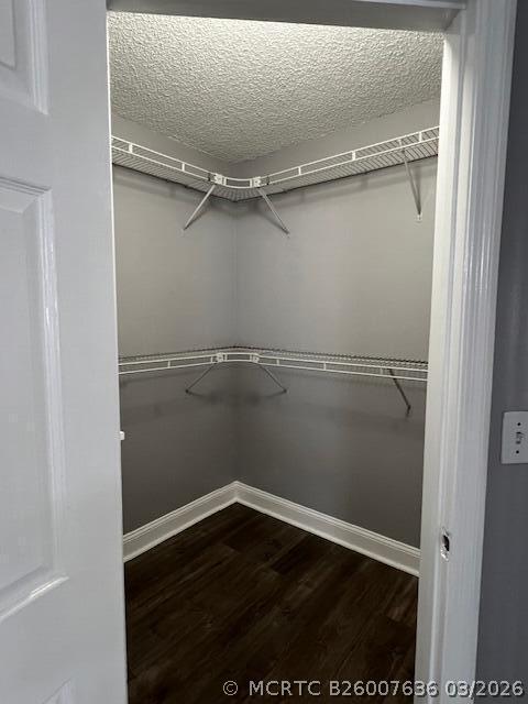 Building Photo - 2163 Madeira Dr