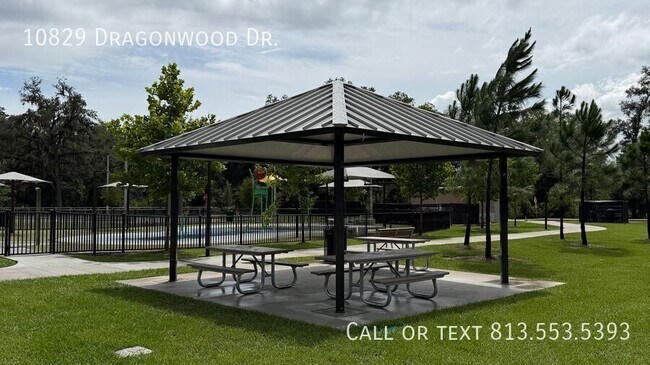 Building Photo - 10829 Dragonwood Dr