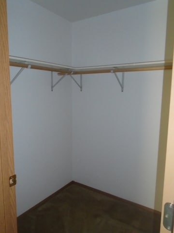 Building Photo - c1617