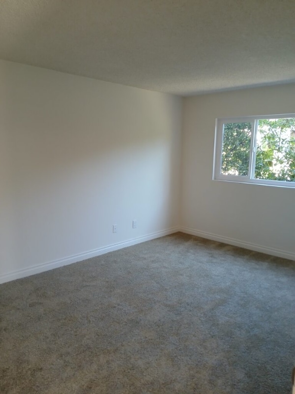 Building Photo - 809 Amigos Way