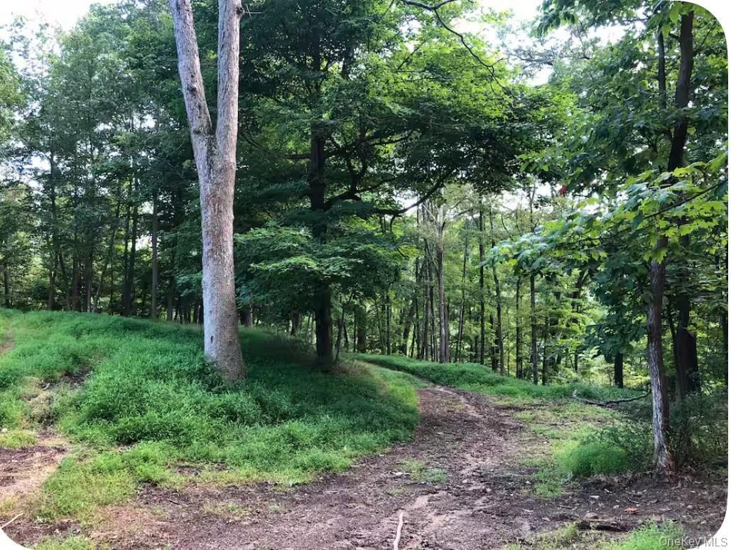 Building Photo - 137 Canterbury Rd