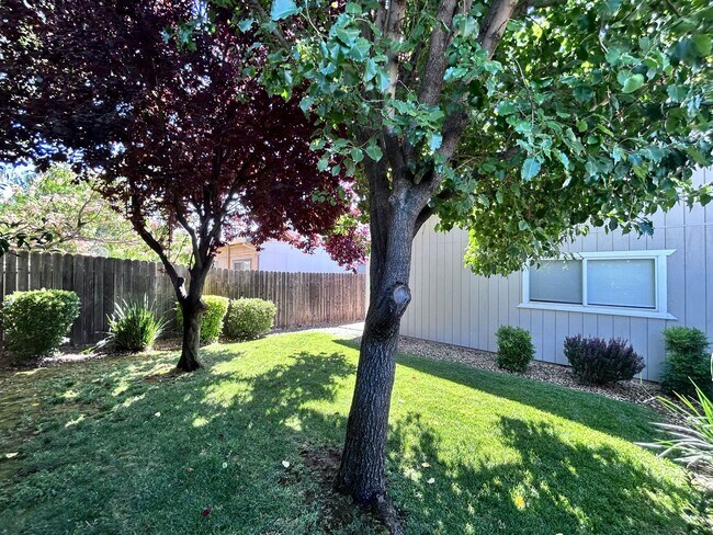 Building Photo - 3148-3150 Laurelhurst Drive