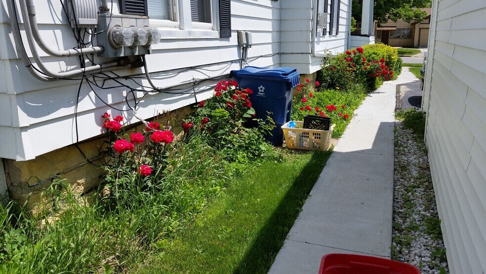 Knock Out Roses Along Walk - 20 N Locust St