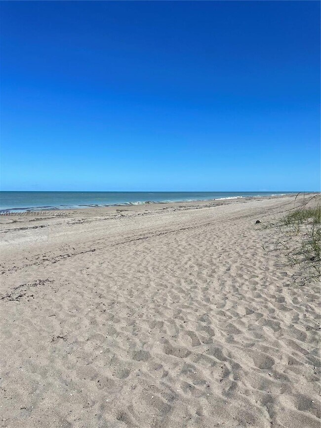 Building Photo - 1115 Hernando St