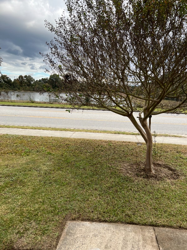 Building Photo - 1925 Windsor Spring Rd