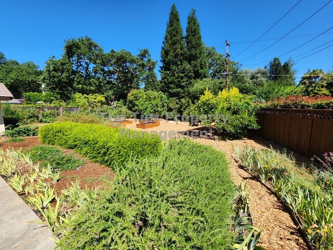 Building Photo - Spectacular 4 Bd/3 Ba, 2379 sf (plus separate structure ideal for office), single-family house in...