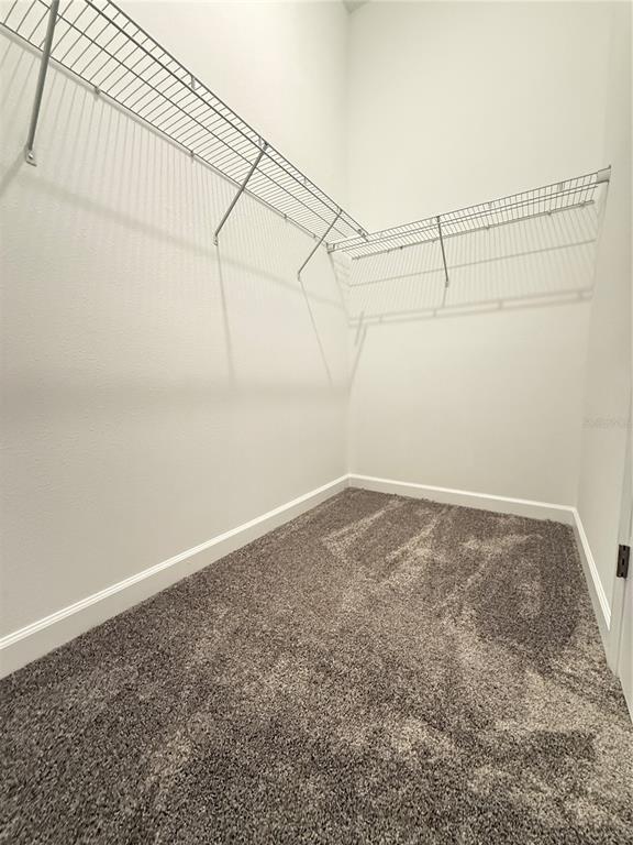 Building Photo - 7117 Dilly Lake Ave