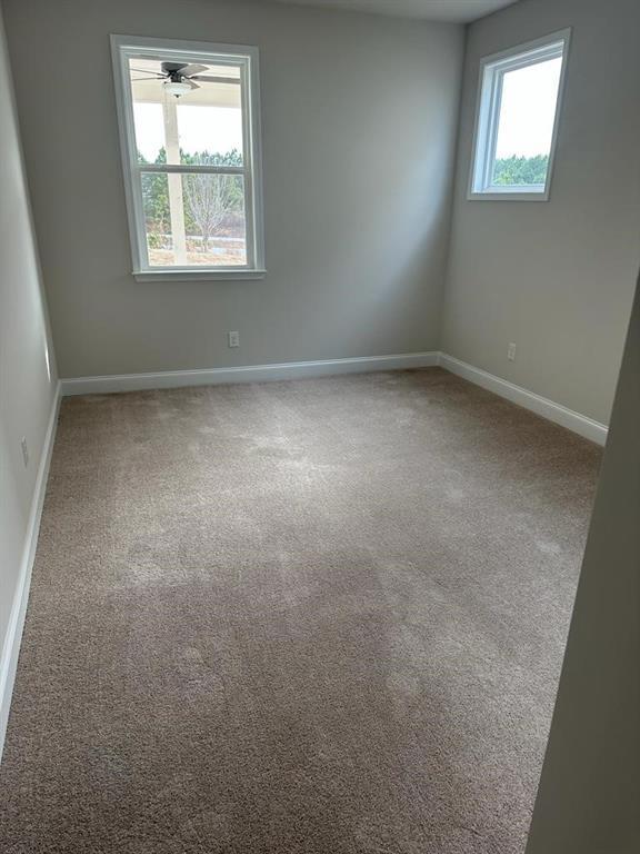 Building Photo - 1206 Allspice Wy
