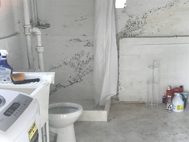 Downstairs bathroom and Laundry - 2324 Lake Shore Ave