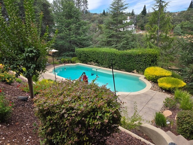 Building Photo - 5 Bdrm, 4 bath home located in Highland View Community off Silva Valley