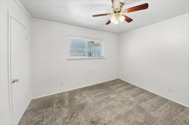 Building Photo - 3862 Wonder Ct
