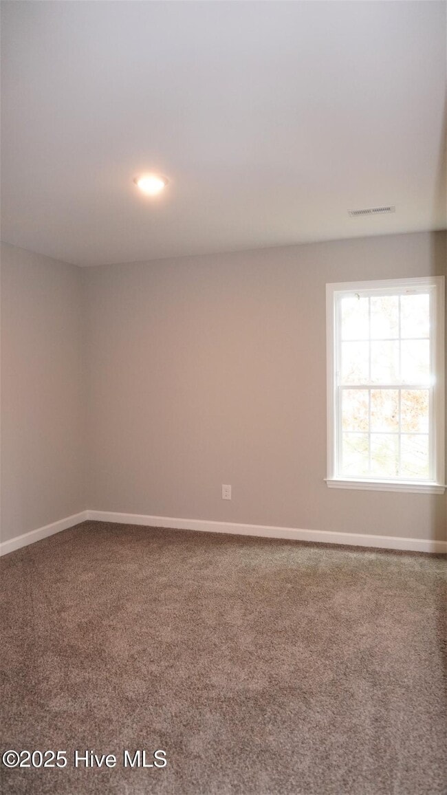 Building Photo - 1517 Pine Brook Ct