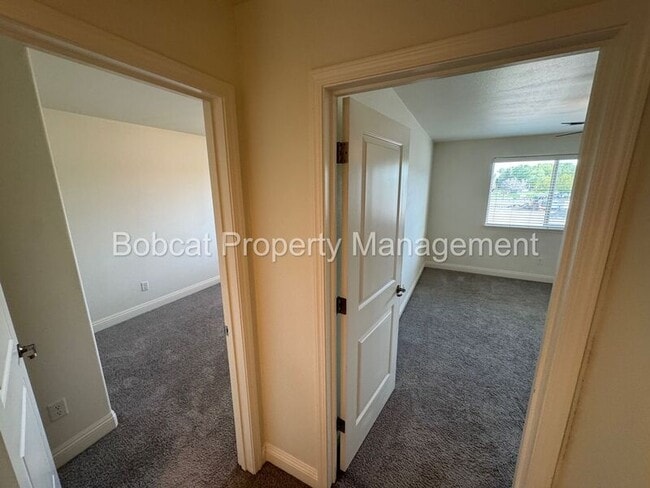 Building Photo - 1249 Correlli Ct