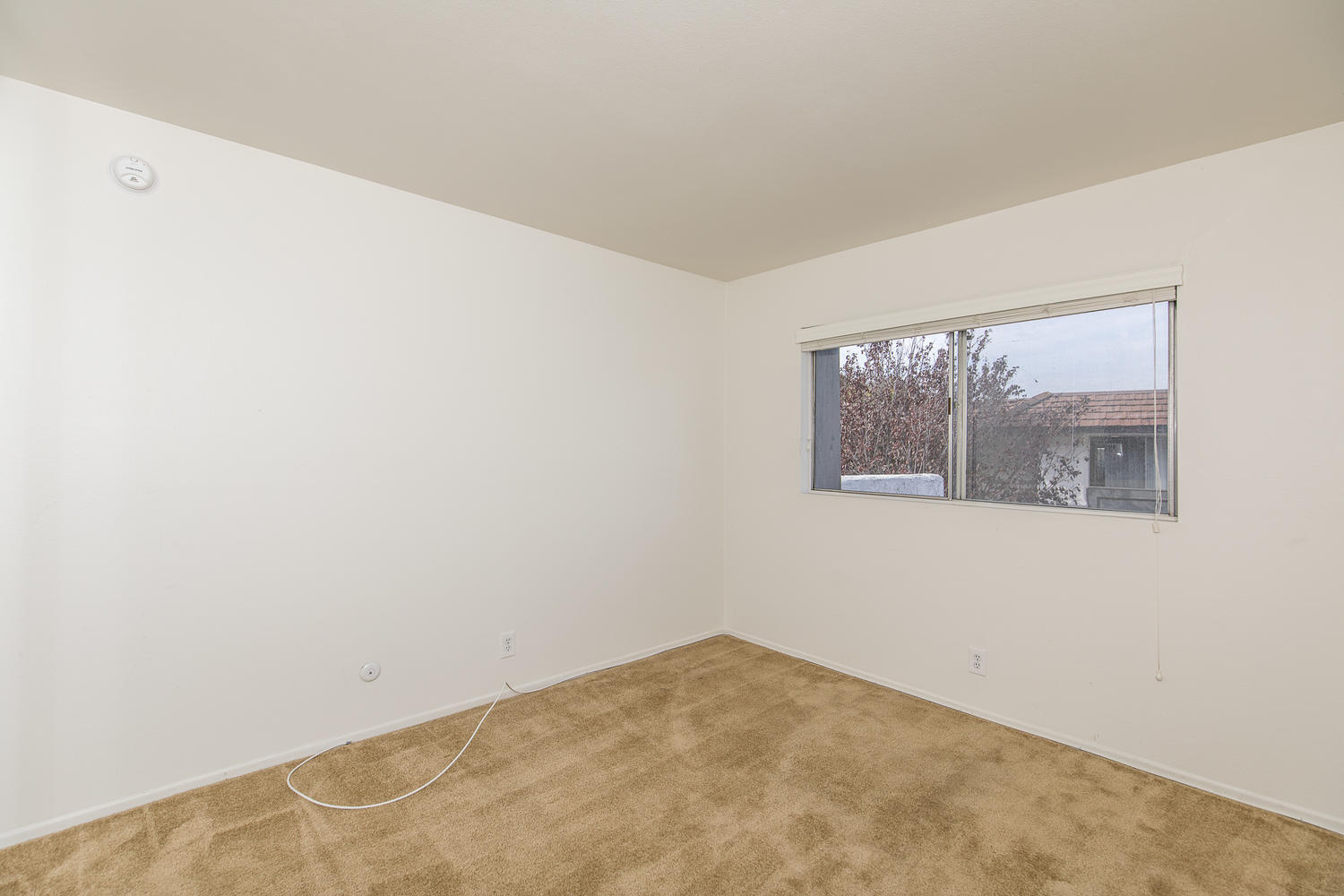 Building Photo - 3709 Summershore Ln