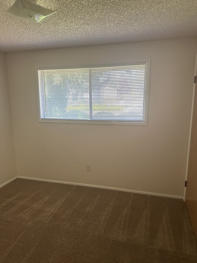 Building Photo - Three Bedroom Ranch with Large Yard!