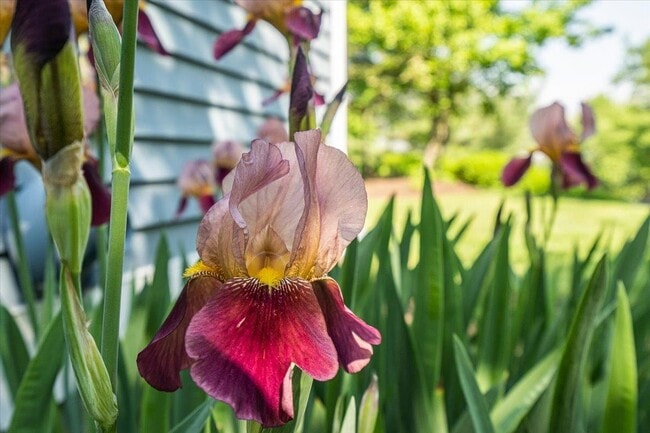 Building Photo - 7 Swift Ln