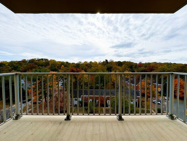 Building Photo - Bright And Spacious 1 Bed 1 Bath Condo Wit...