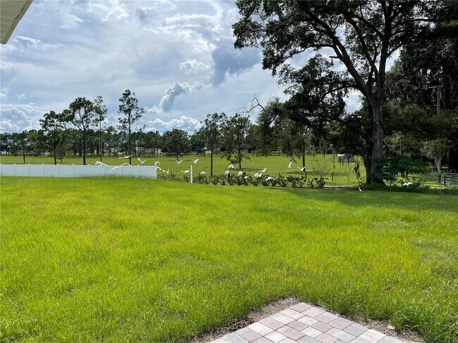 Building Photo - 36308 Spanish Rose Dr