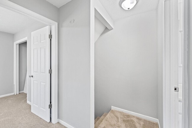 Building Photo - 2 Bedroom 1.5 Bathroom