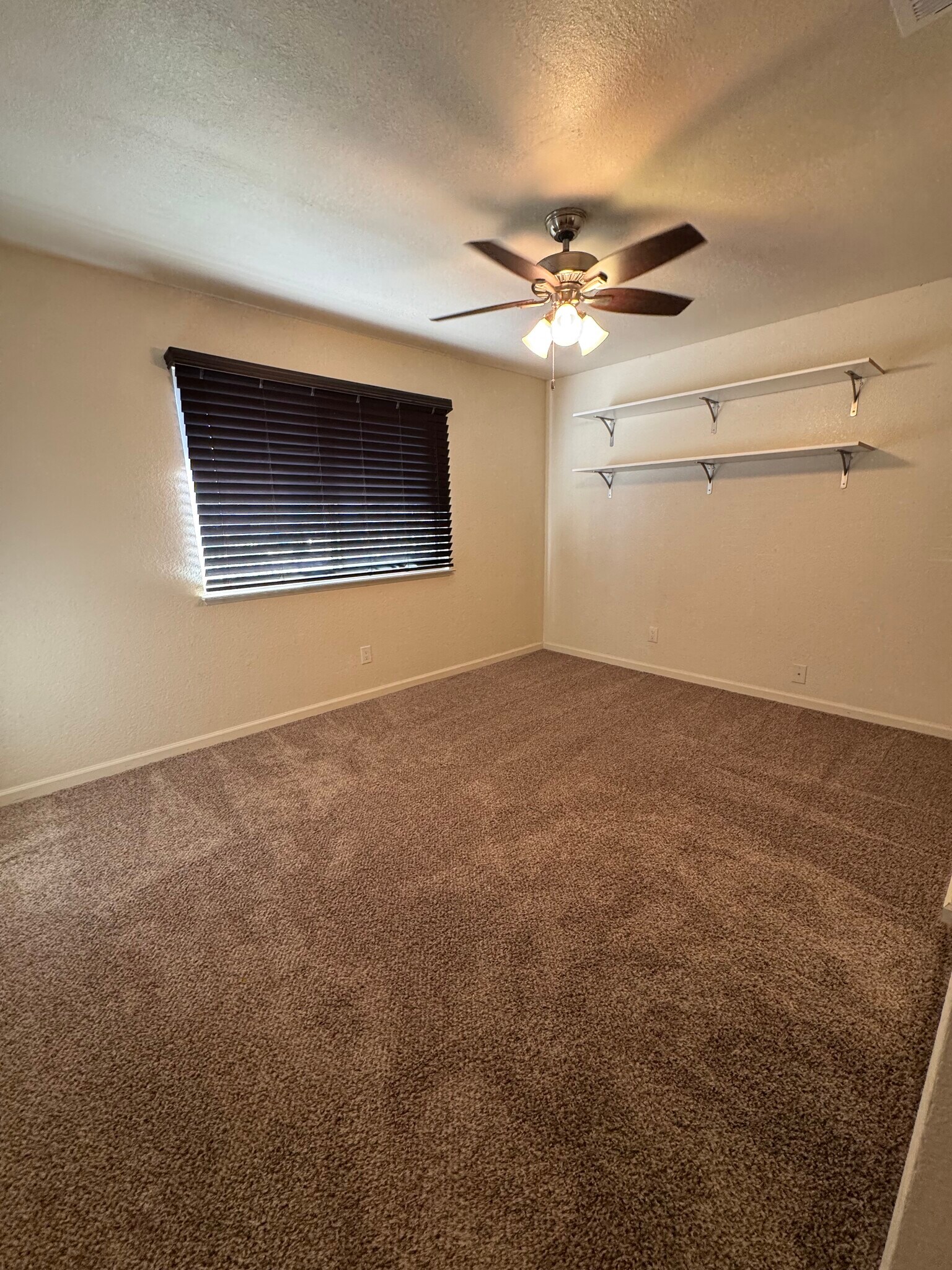 Building Photo - 113 Carney Cir