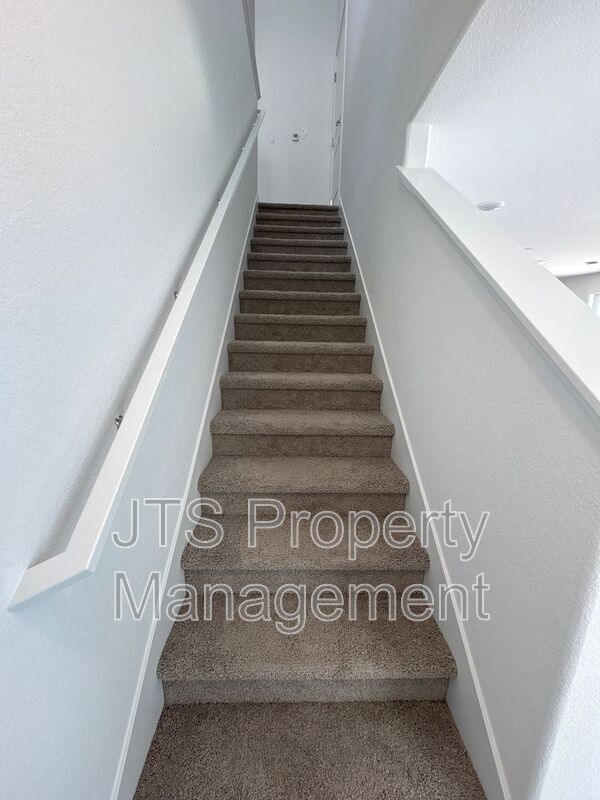 Building Photo - 3040 Leap Frog Lp