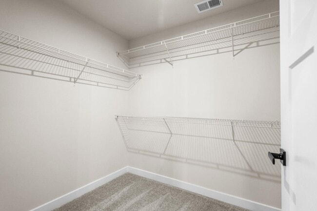 Building Photo - 2600 Elowen Ln