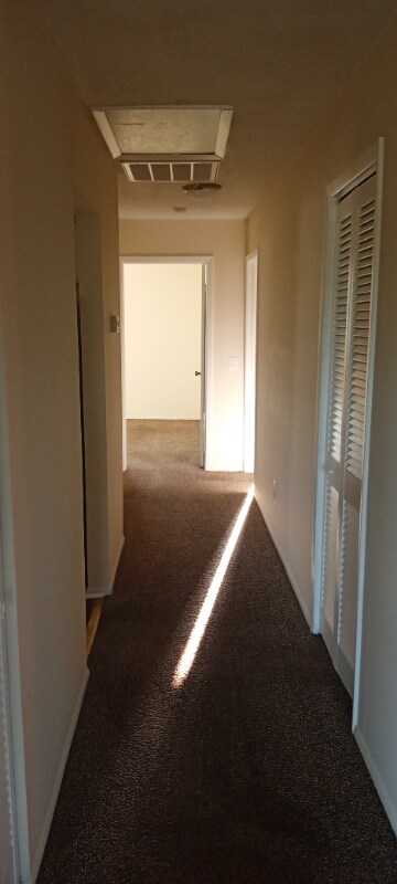 Building Photo - 2015 McMullen Ave