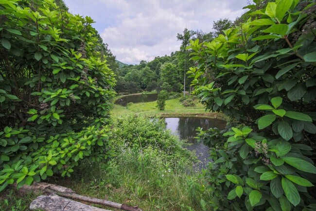 Building Photo - 195 Black Bear Dr