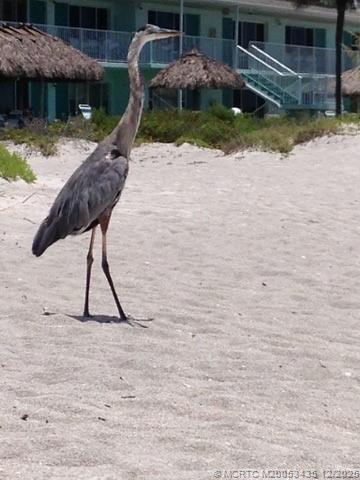 Building Photo - 513 Gunwale Ln