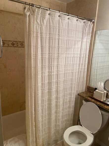 Shower - 1560 N Sandburg Ter