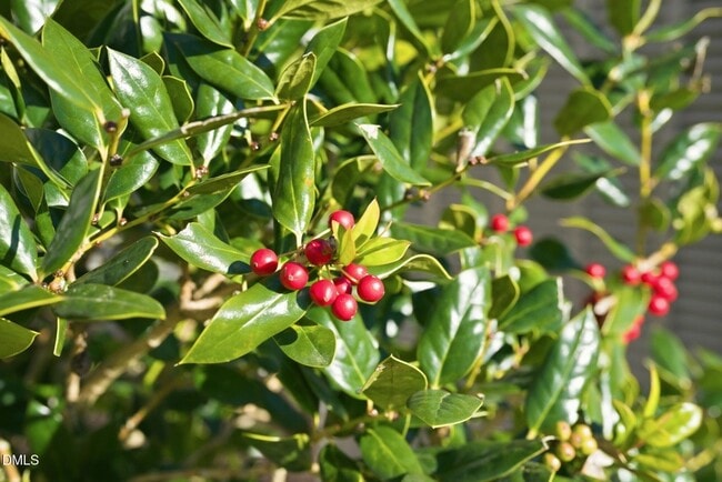 Building Photo - 759 Putney Hl Rd