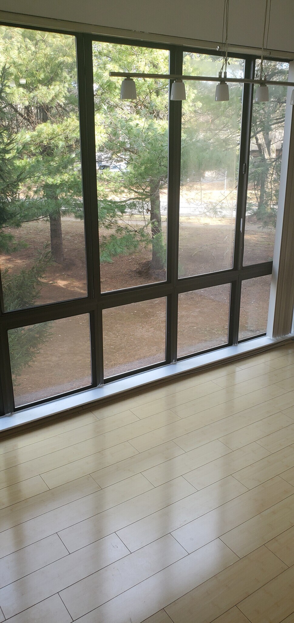 Breakfast /dining room - 8101 Needwood Rd