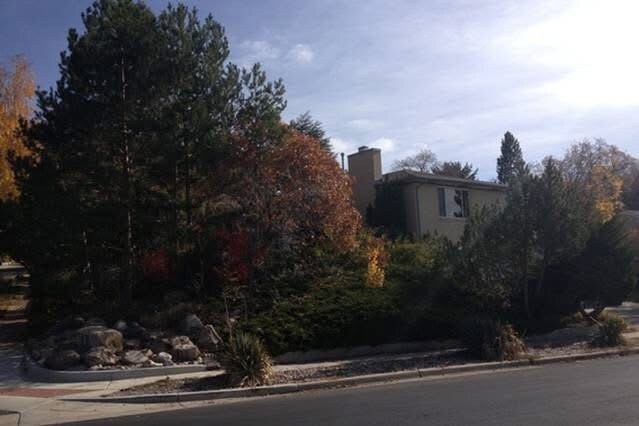 Building Photo - 2718 E Commonwealth Ave