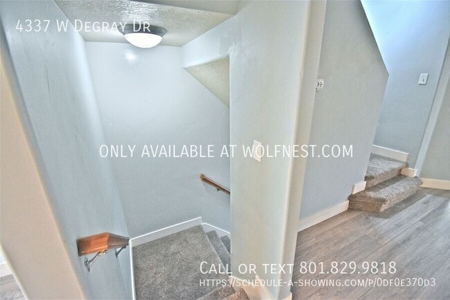 Building Photo - 4337 Degray Dr