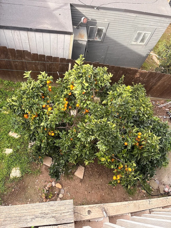 Building Photo - 3720 Louisiana St