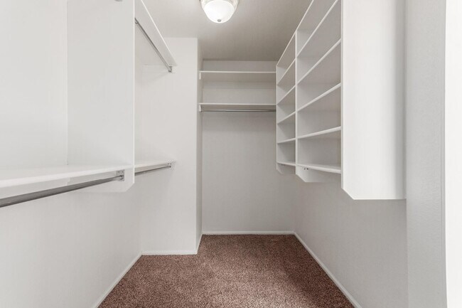 Building Photo - 42556 W Anne Ln