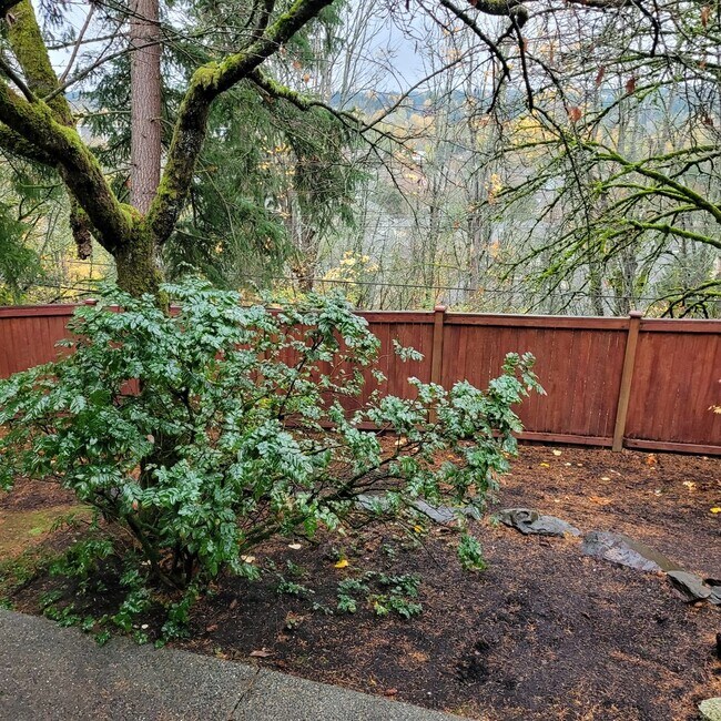 Building Photo - Beautiful 2 Bedroom Condo in Redmond