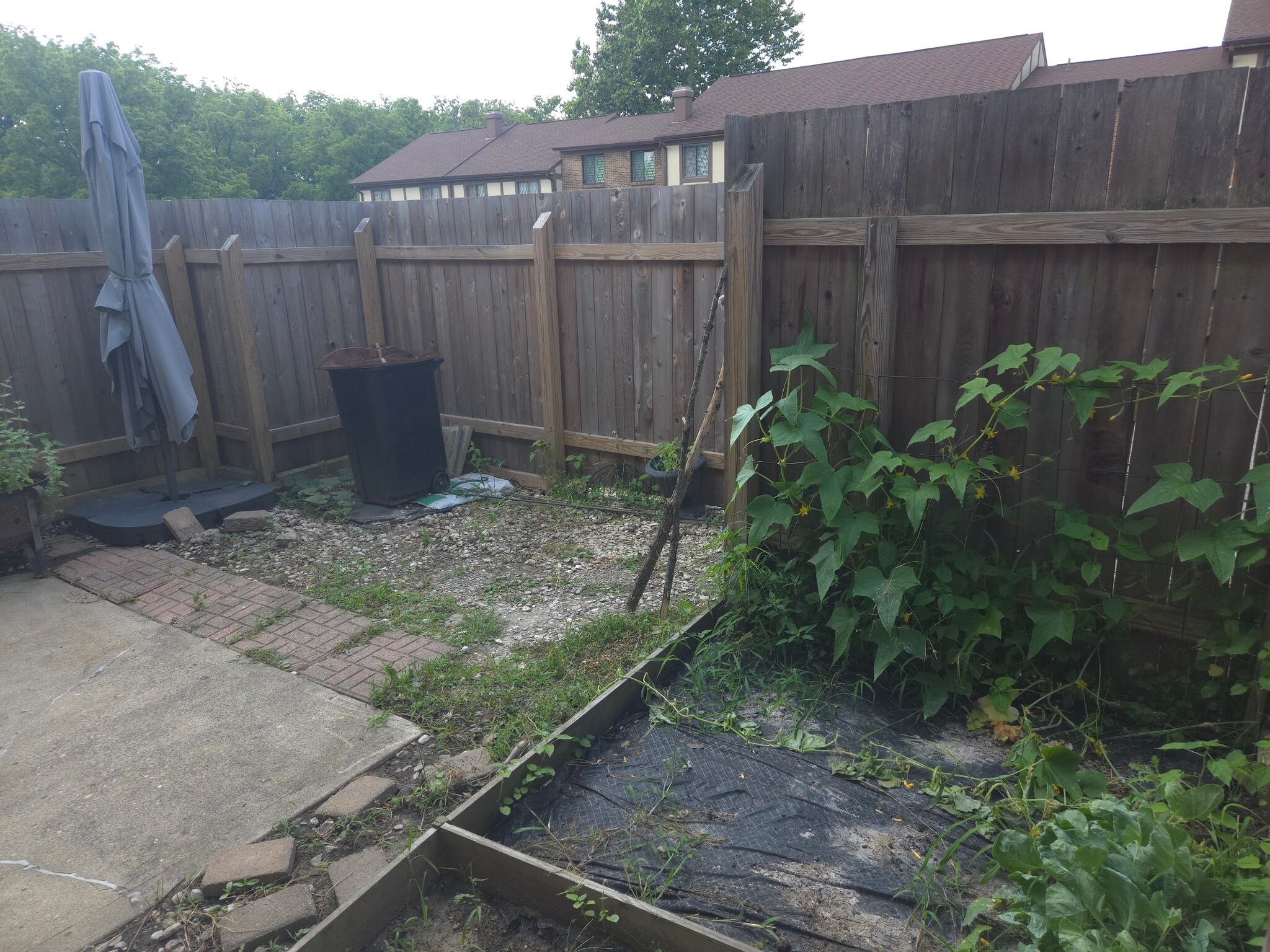 Private Backyard Fully Fenced In. W/ small garden. - 7618 Thames Ct
